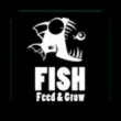 Feed and Grow: Fish Version Free Download - GMRF